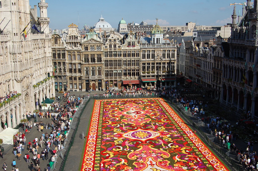 Brussels flower carpet